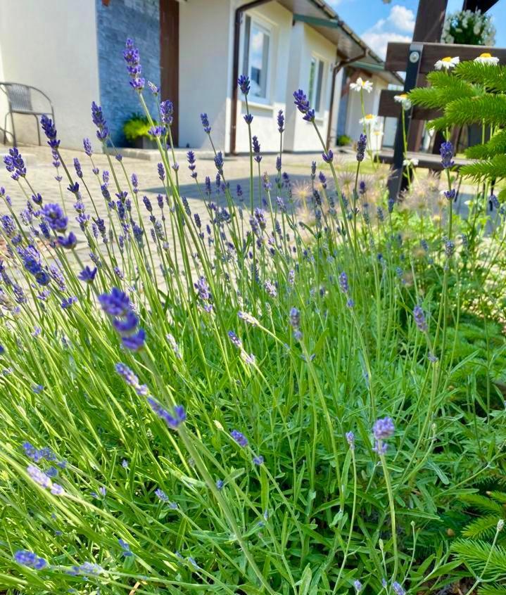 Zielone Zacisze Villa Uniejow Eksteriør bilde