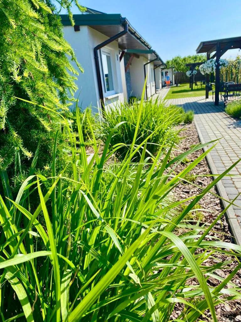 Zielone Zacisze Villa Uniejow Eksteriør bilde