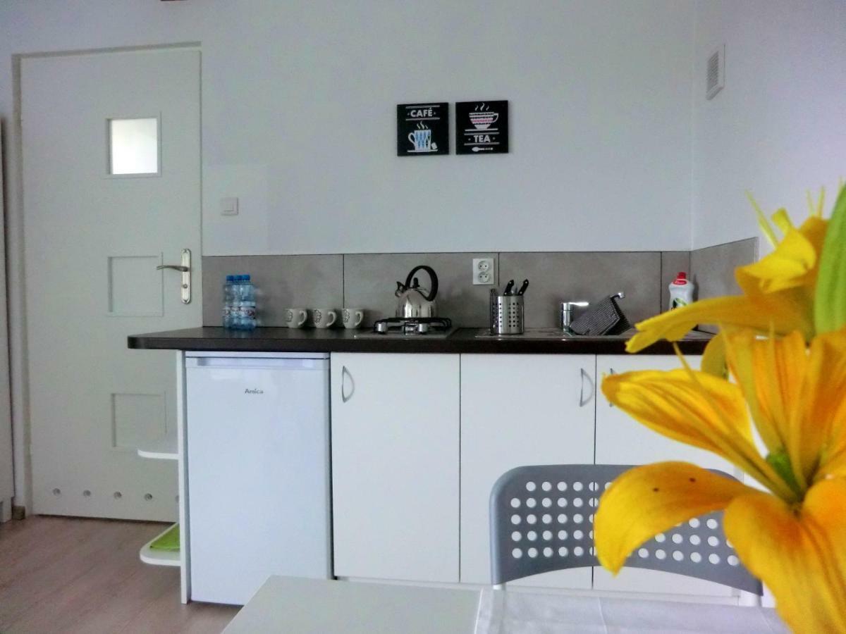 Zielone Zacisze Villa Uniejow Eksteriør bilde